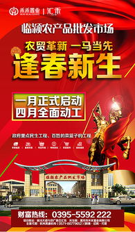 臨潁農貿批發市場廣告設計與制作全攻略
